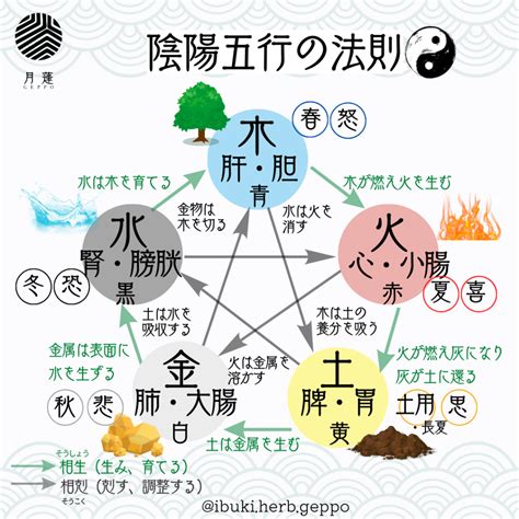 陰陽 分類|陰陽